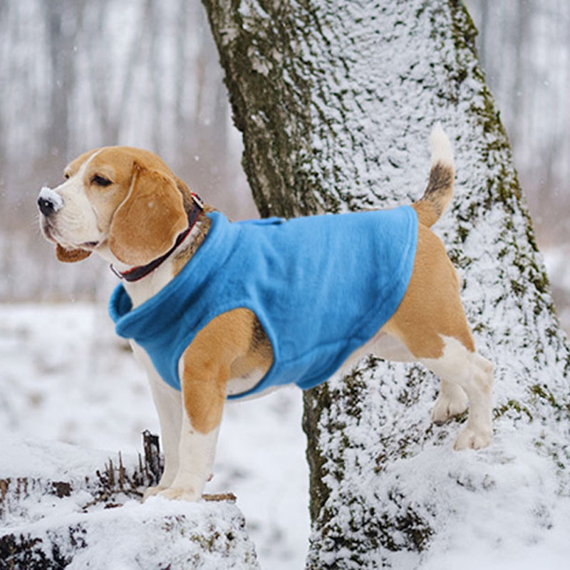 PawComfort - Gilet pour chien | Confortable et léger