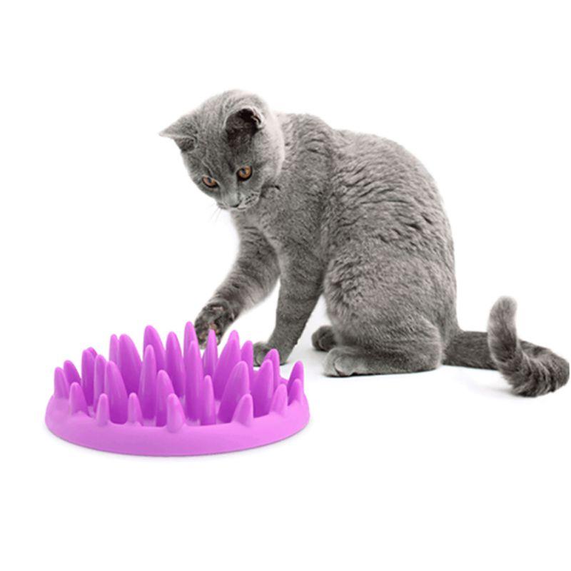 Gamelle pour chats avec design anti-glouton - Pour une alimentation plus lente