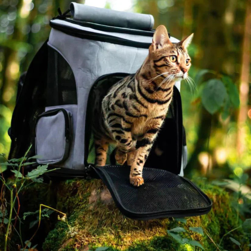 Sac à dos pour chats - Idéal pour les balades aventureuses avec votre félin