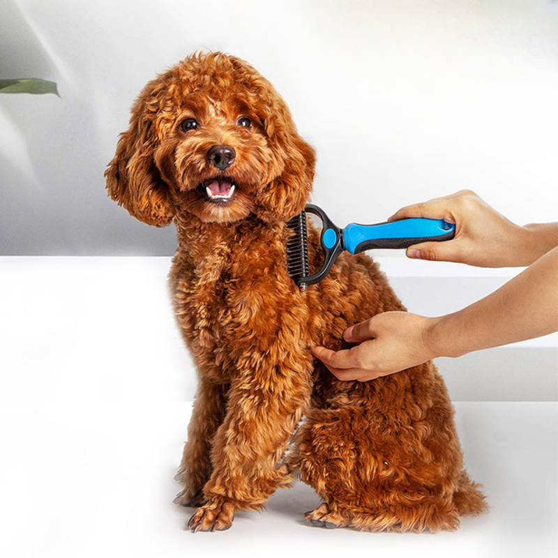 Brosse pour chien - Épilation facile