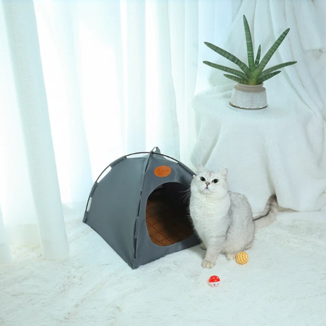 Offrez à votre chat un refuge luxueux avec la tente pliable pour chats !