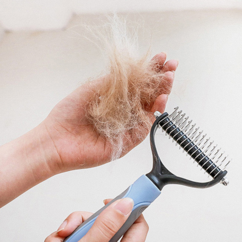 Brosse pour chien - Épilation facile