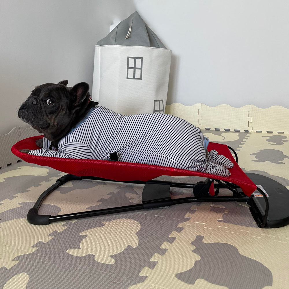 PawComfort – Chaise à bascule portable pour chiens | Confortable et amusant