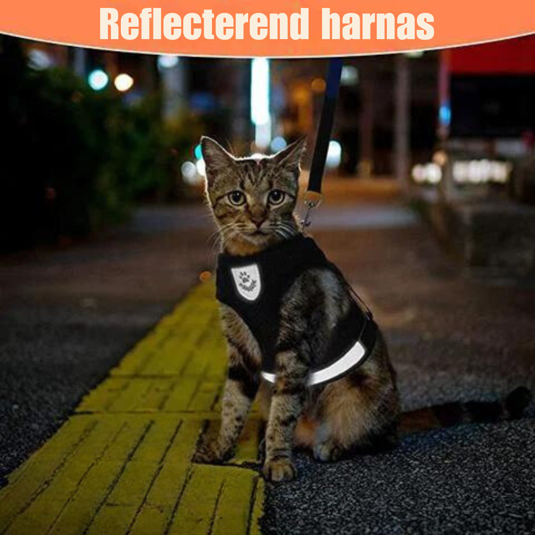 Harnais réfléchissant pour chats - Visibilité et sécurité