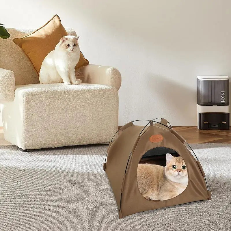 Offrez à votre chat un refuge luxueux avec la tente pliable pour chats !