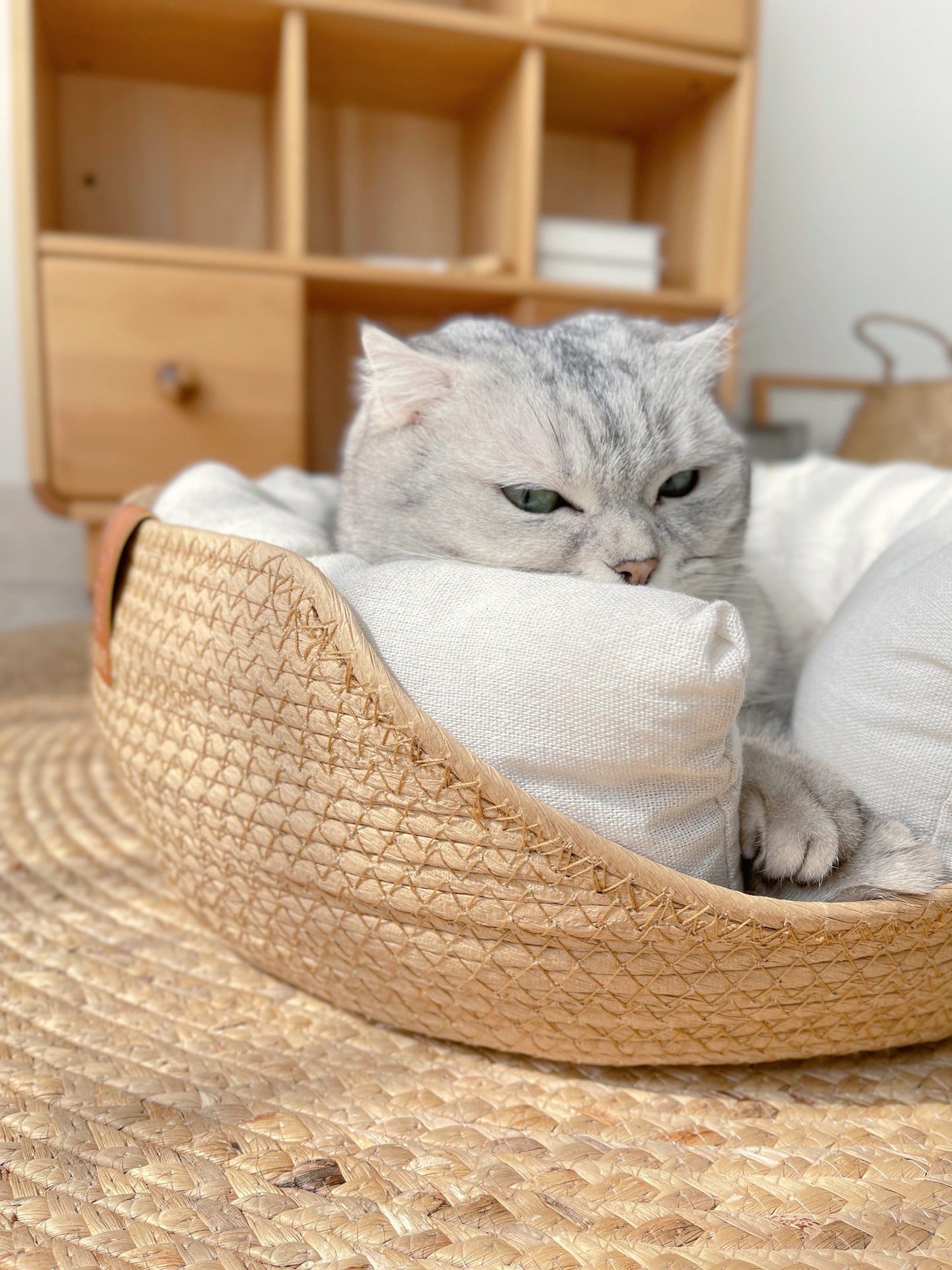 Lit confortable pour chats - Confort et détente