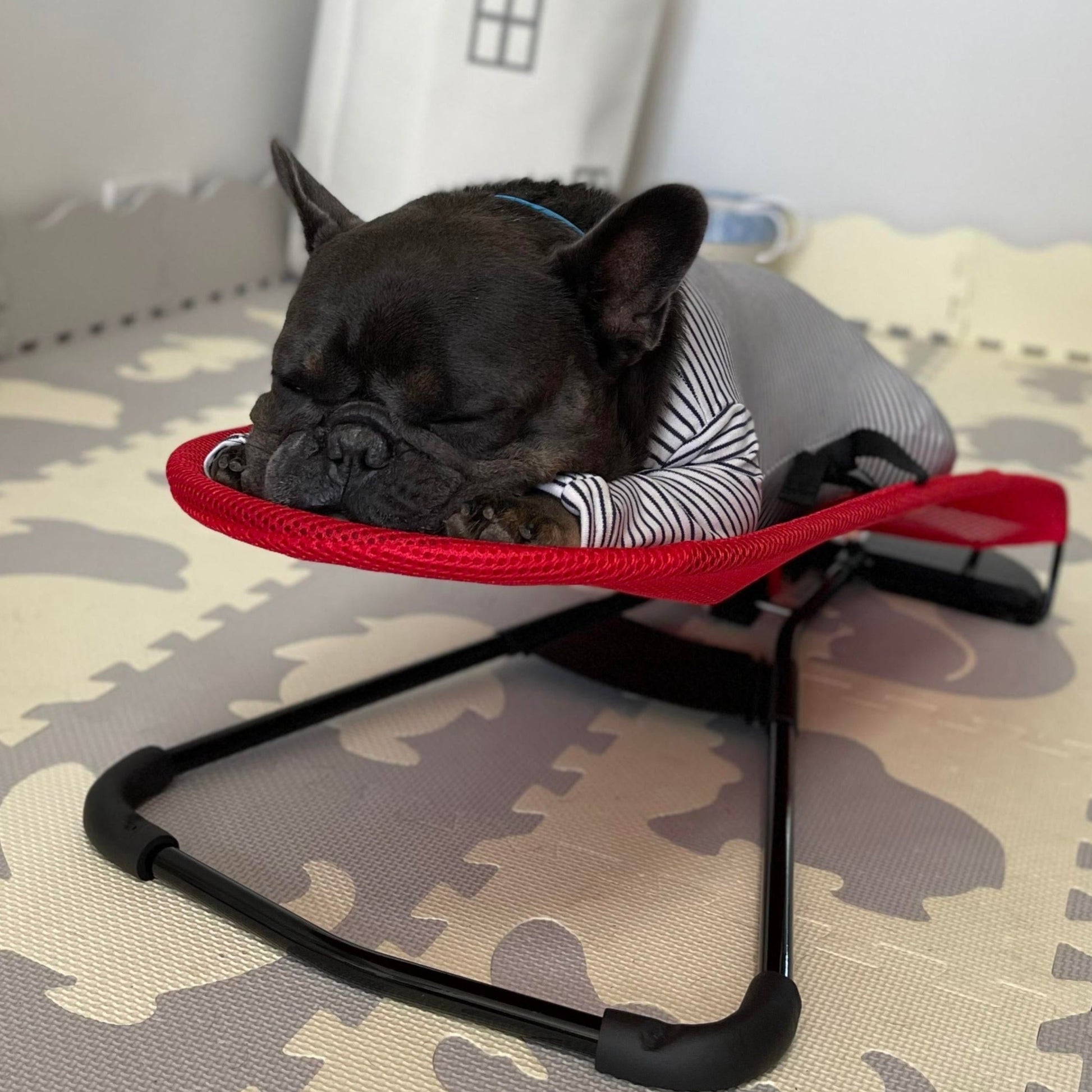 PawComfort – Chaise à bascule portable pour chiens | Confortable et amusant