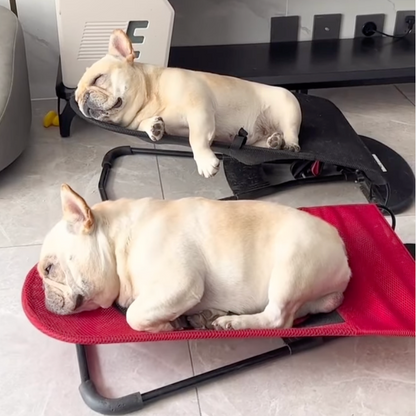 PawComfort – Chaise à bascule portable pour chiens | Confortable et amusant