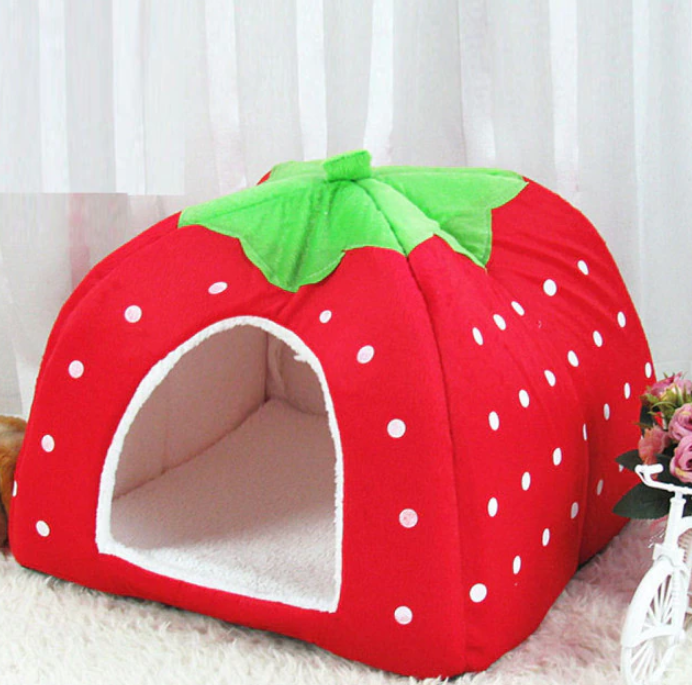 Maison fraise pour chats - Confort et originalité