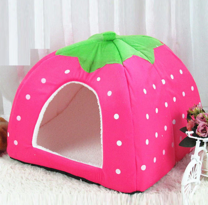 Maison fraise pour chats - Confort et originalité