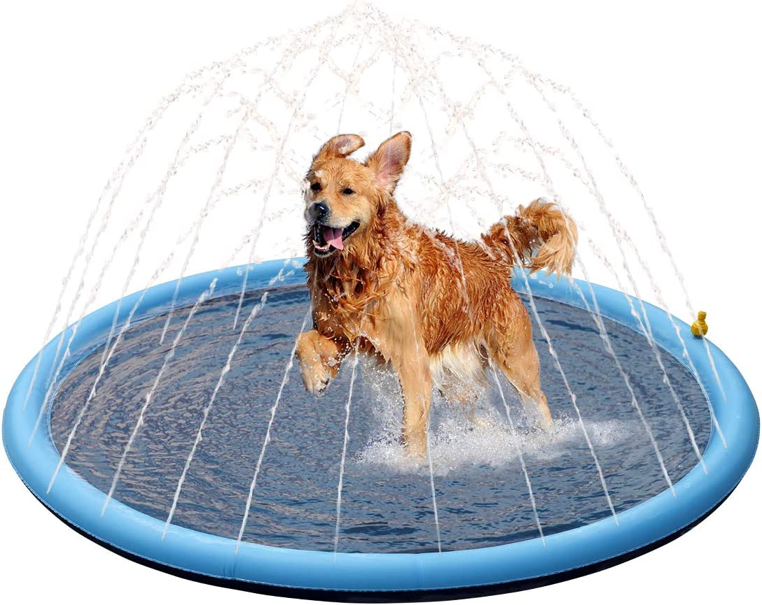 Splash Pool - Plaisir aquatique pour chiens