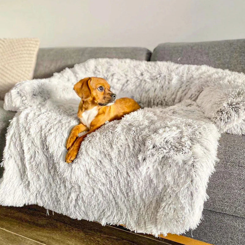 PawComfort – Protecteur de meubles et taille de lit pour chien | Idéal pour se protéger