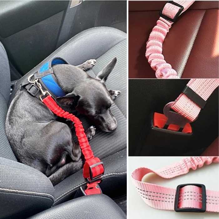 Ceinture réglable pour chien - Sécurité lors des trajets en voiture