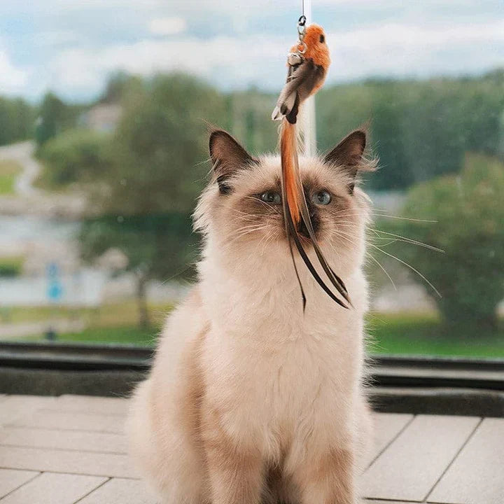 Jouet unique en forme d'oiseau pour chats - Parfait pour le plaisir de jeu