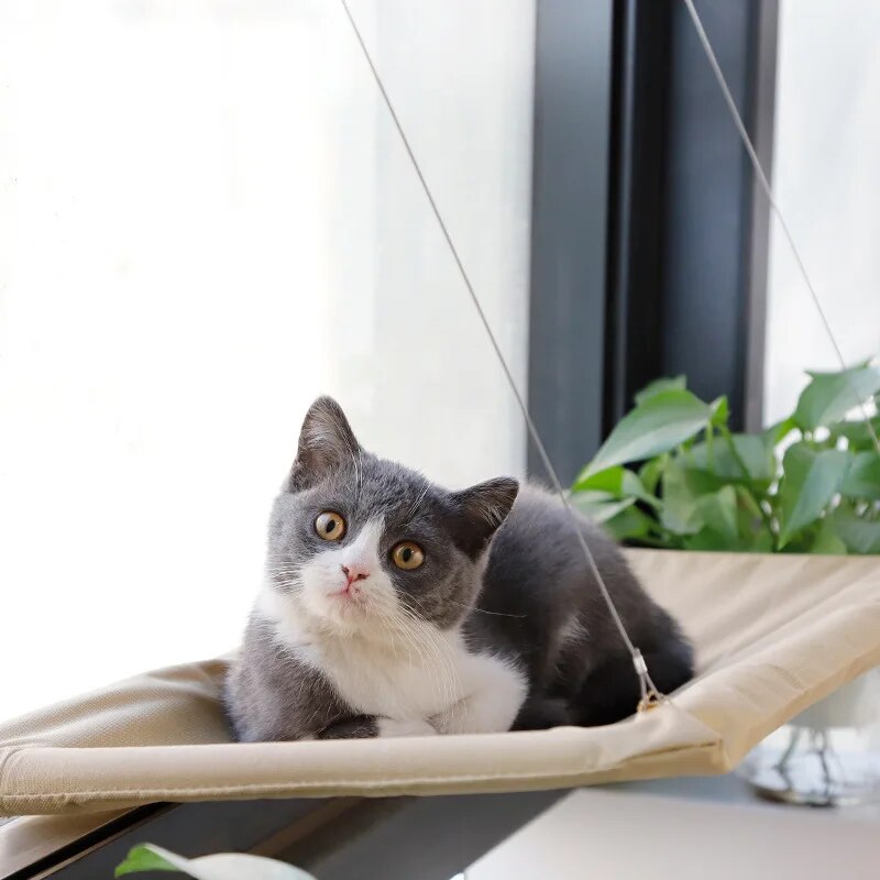 Hamac pour chats - Relaxation en hauteur