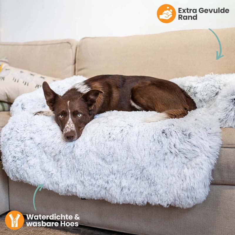 PawComfort – Protecteur de meubles et taille de lit pour chien | Idéal pour se protéger