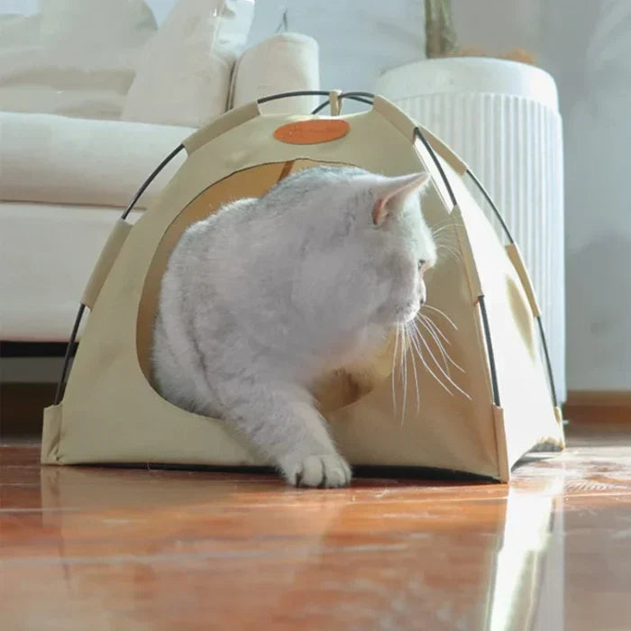 Offrez à votre chat un refuge luxueux avec la tente pliable pour chats !