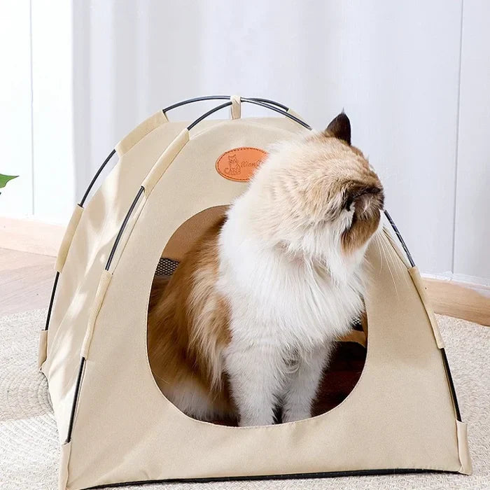 Offrez à votre chat un refuge luxueux avec la tente pliable pour chats !