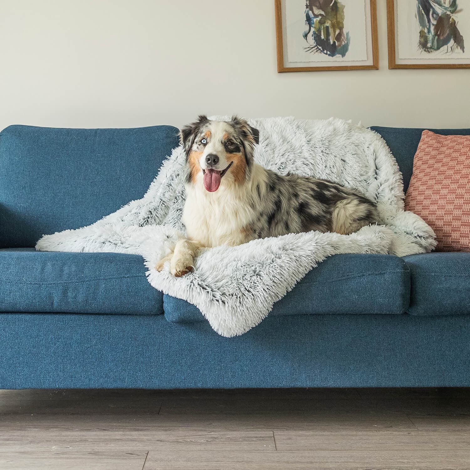 PawComfort - Couverture agréable pour chien | Chaleur pour les journées froides