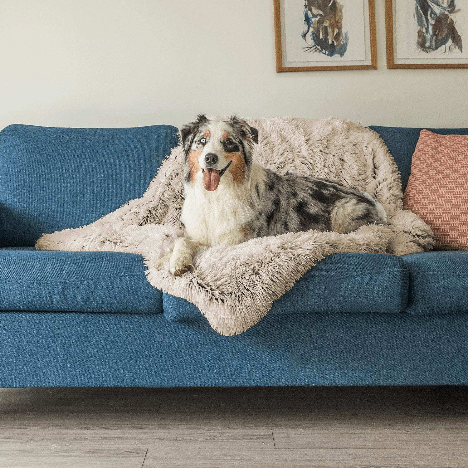 PawComfort - Couverture agréable pour chien | Chaleur pour les journées froides