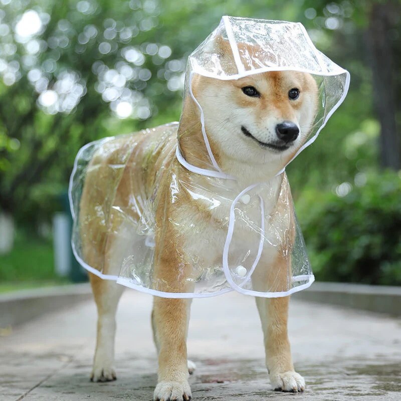 Poncho de pluie pour chiens - Protection imperméable par temps humide