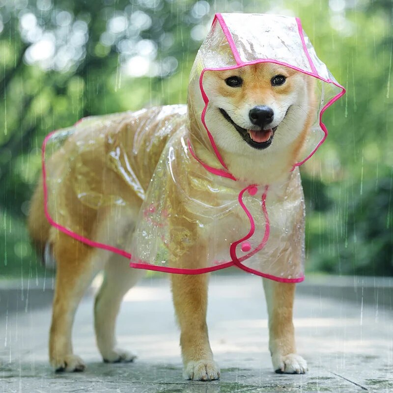 Poncho de pluie pour chiens - Protection imperméable par temps humide