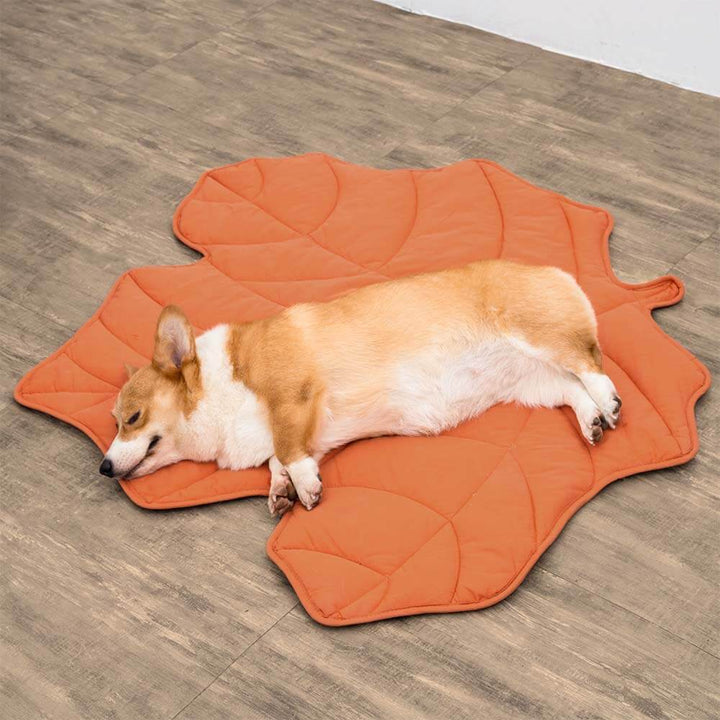 PawComfort – Couverture pour chien en forme de feuilles | Élégant et confortable