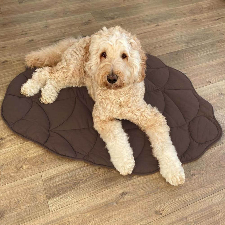 PawComfort – Couverture pour chien en forme de feuilles | Élégant et confortable