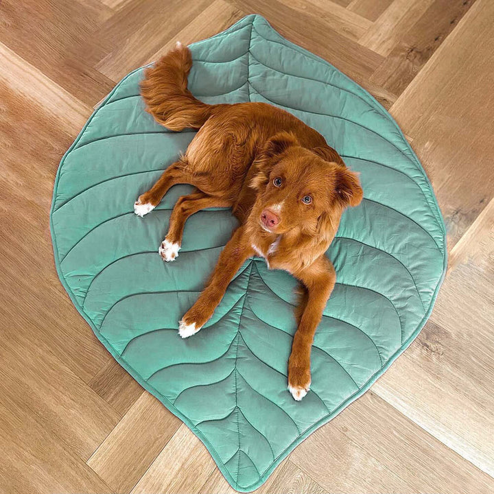 PawComfort – Couverture pour chien en forme de feuilles | Élégant et confortable