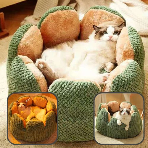 Panier pour Chat Confortable - Design Portable et Douillet