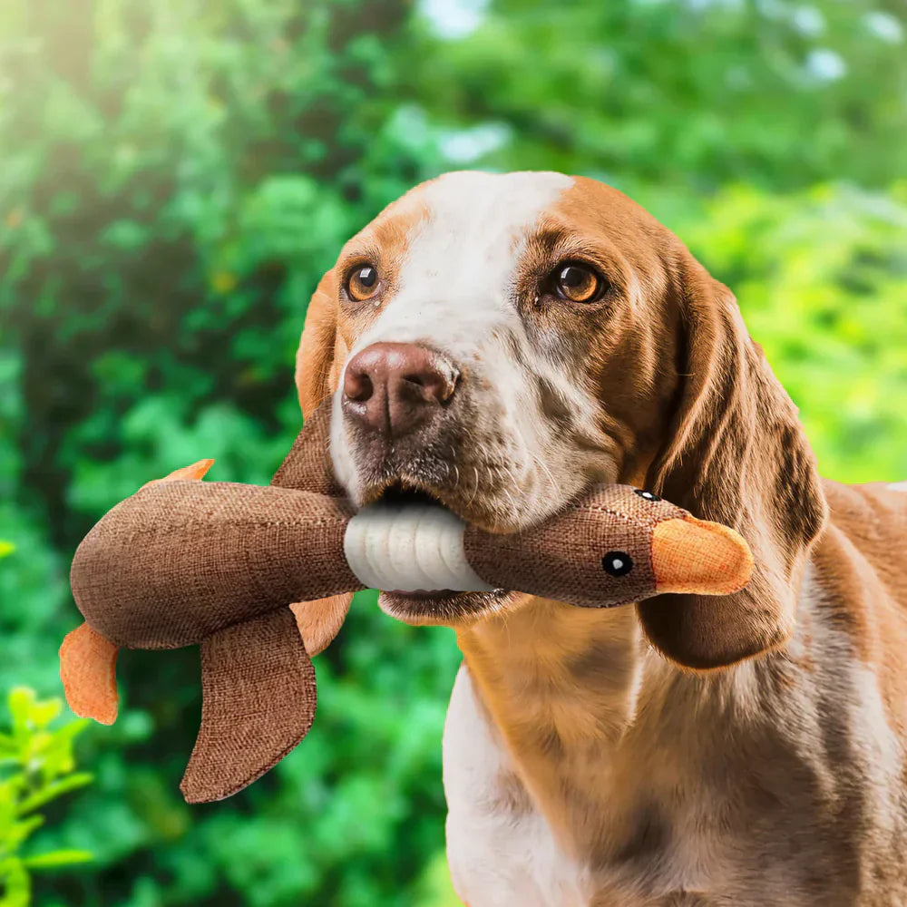 Canard Indestructible - Le jouet fort pour chien