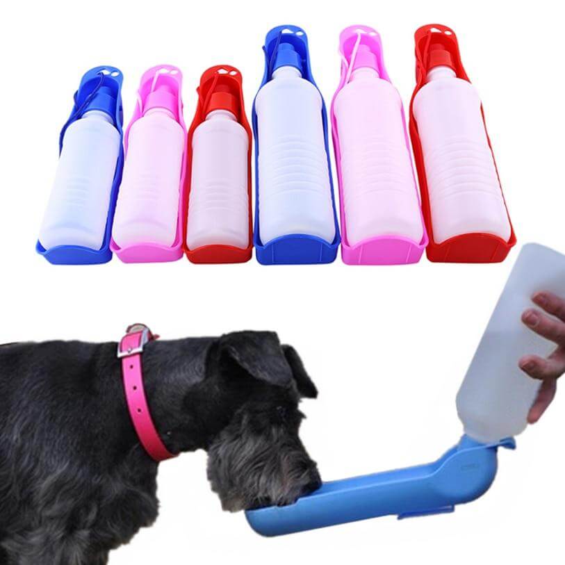 Gourde portable pour chiens – Hydratation en déplacement