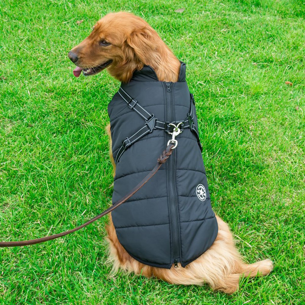 PawComfort - Manteau imperméable pour chien avec harnais | Idéal pour les chiens actifs