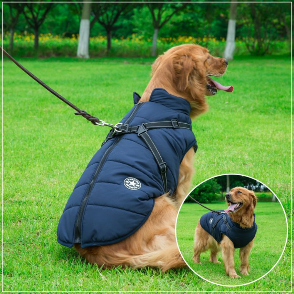 PawComfort - Manteau imperméable pour chien avec harnais | Idéal pour les chiens actifs