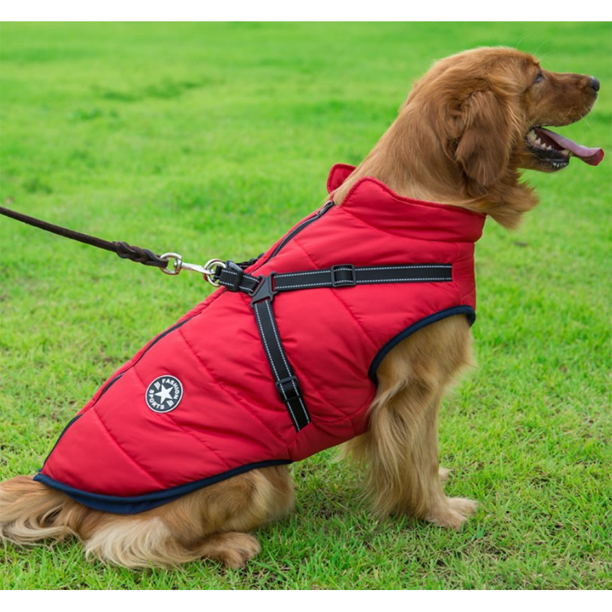 PawComfort - Manteau imperméable pour chien avec harnais | Idéal pour les chiens actifs
