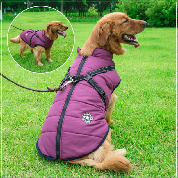 PawComfort - Manteau imperméable pour chien avec harnais | Idéal pour les chiens actifs