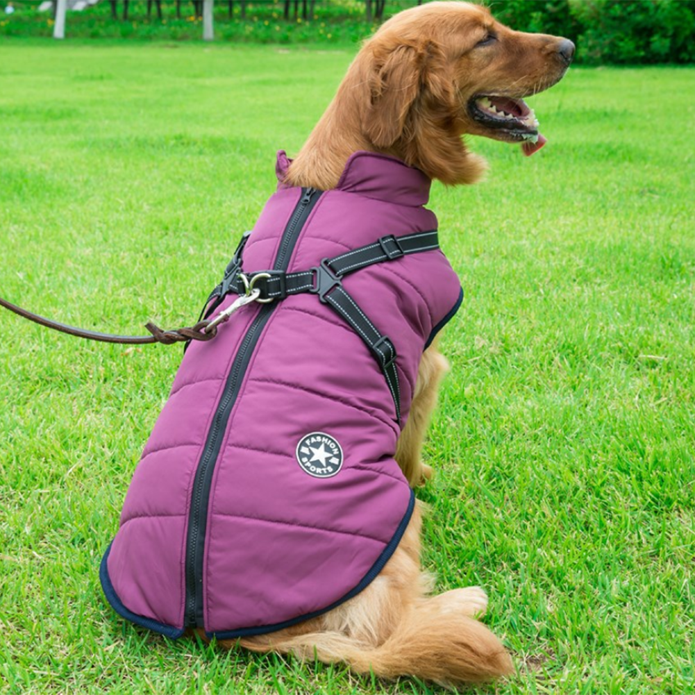PawComfort - Manteau imperméable pour chien avec harnais | Idéal pour les chiens actifs