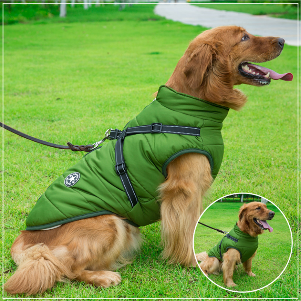 PawComfort - Manteau imperméable pour chien avec harnais | Idéal pour les chiens actifs