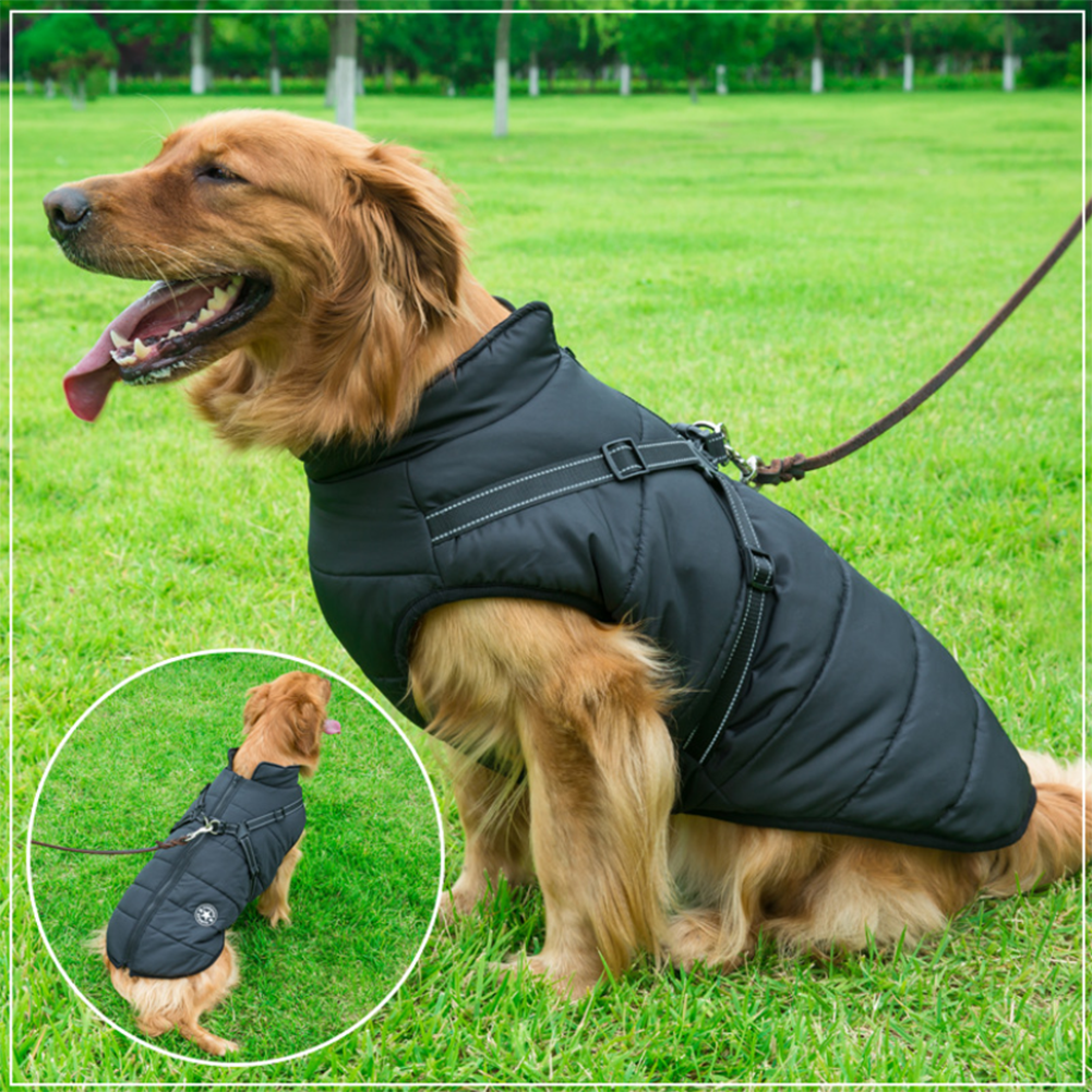 PawComfort - Manteau imperméable pour chien avec harnais | Idéal pour les chiens actifs