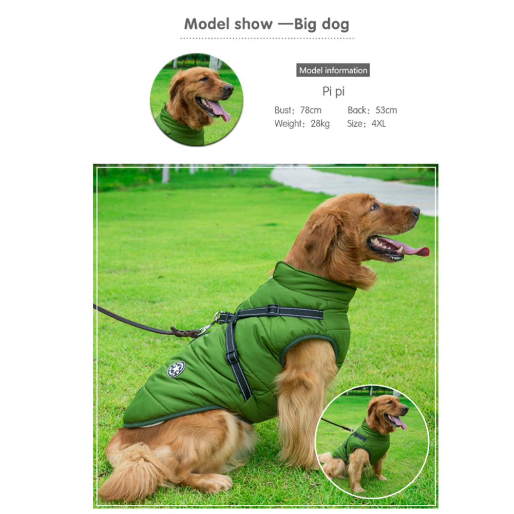 PawComfort - Manteau imperméable pour chien avec harnais | Idéal pour les chiens actifs