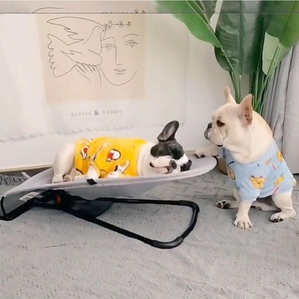 PawComfort – Chaise à bascule portable pour chiens | Confortable et amusant