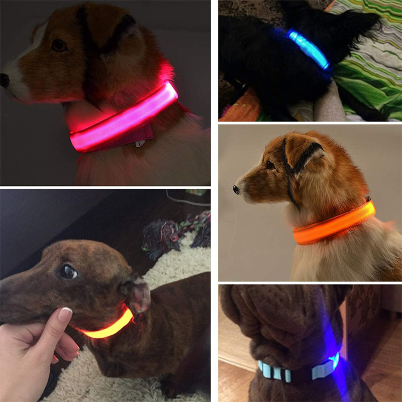 Collier lumineux - Sécurité pour chiens dans le noir