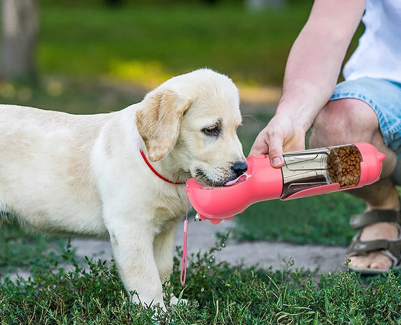 Bouteille d'eau multifonctionnelle pour chiens - Boire et conserver en un